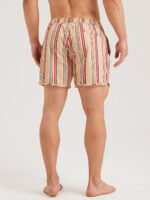 Hapnix® - Men's Stripe 5" Swim Trunks - Image 3