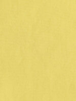 The Yellow Beach Men's 5" Swimming Trunks - Image 7