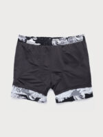 The Black Sea Men's 5" Swimming Trunks - Image 3