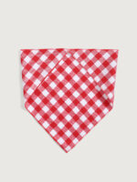 Pet Plaid Triangle Scarf - Image 7