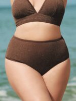 Dark Coffee Lurex Plus Size Bikini Bottom