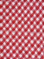 Red Gingham Plus Size Full Coverage Swim Shorts - Image 7