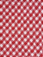 Red Gingham Knot Plus Size Bikini Top - Image 7